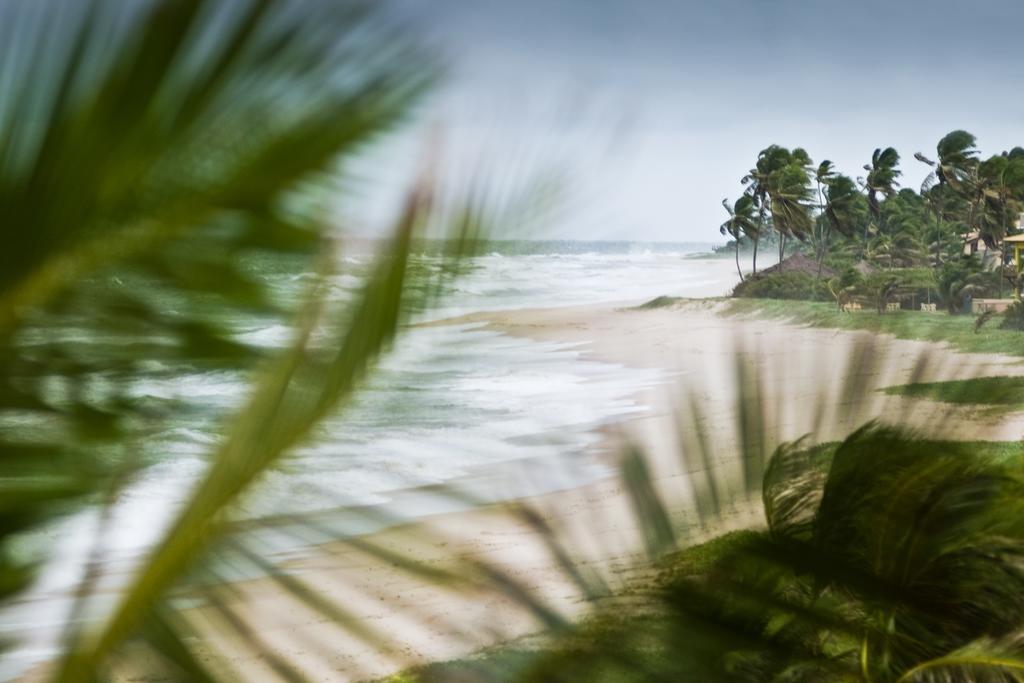 Oyo Hotel Arembepe Beach Hotel, Camacari Ngoại thất bức ảnh
